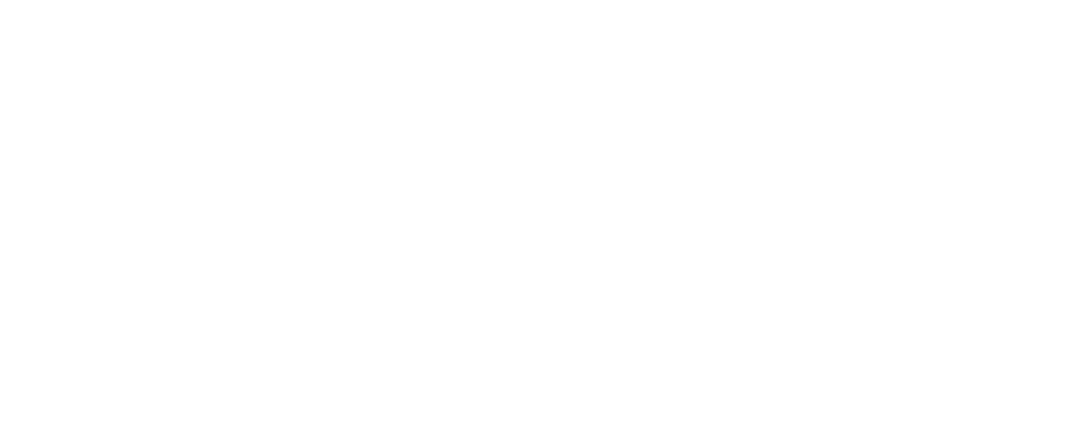 Logo Sanpietro